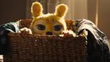 lien vers MARSUPILAMI